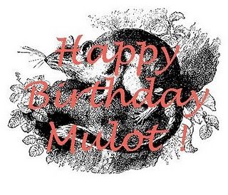 Happy_Birthday_Mulot_2ans