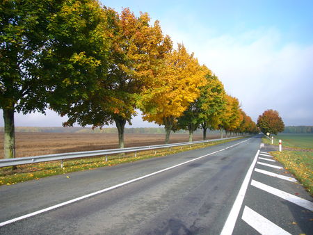 P1190007