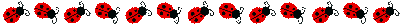 103576066_o