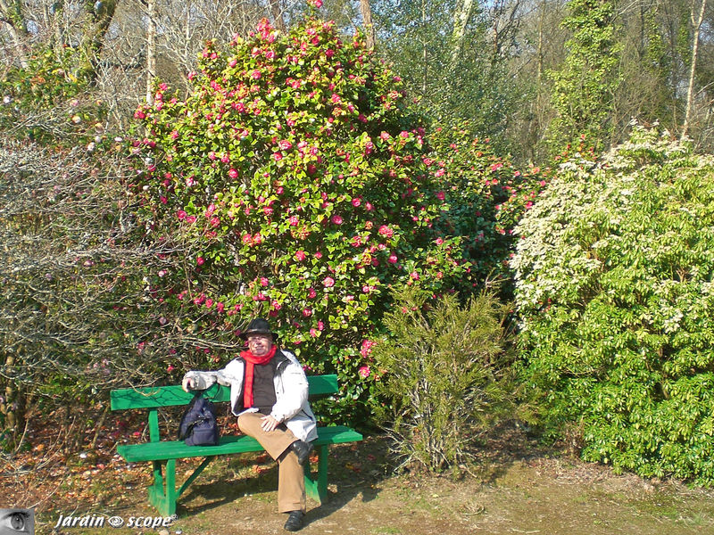 Parc Botanique de Cornouaille (29)