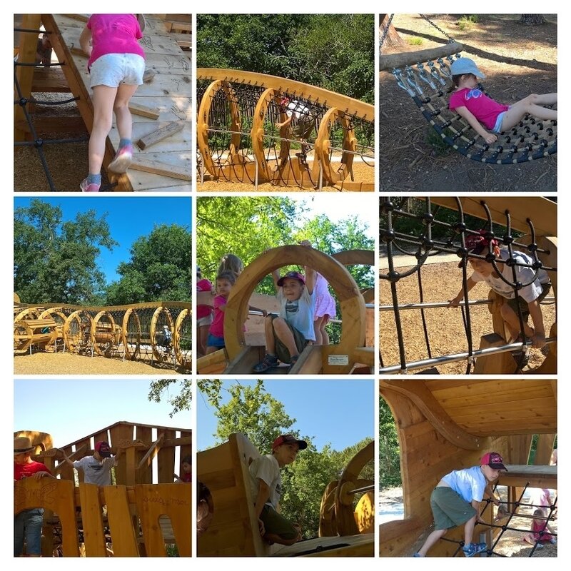 WP_20180710_10_33_09_Pro-COLLAGE