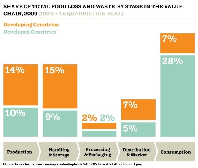 3 share of global food waste by stage