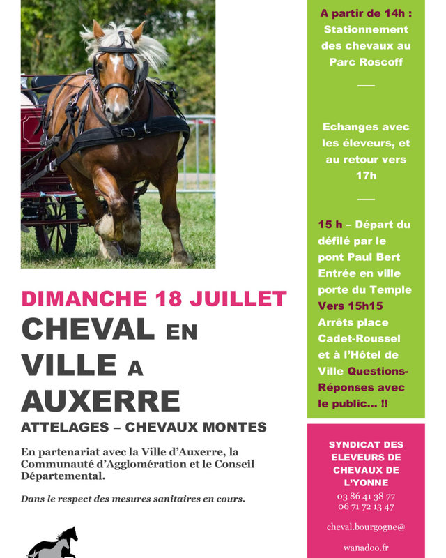 Cheval à Auxerre