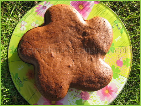 recettes dessert Torta di Caprese (et pas quà la Saint Valentin!)