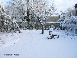 neige2007_lion