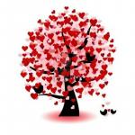 http://biologie2lamour.e-monsite.com/