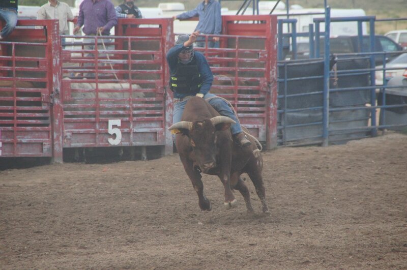 Rodeo (15)