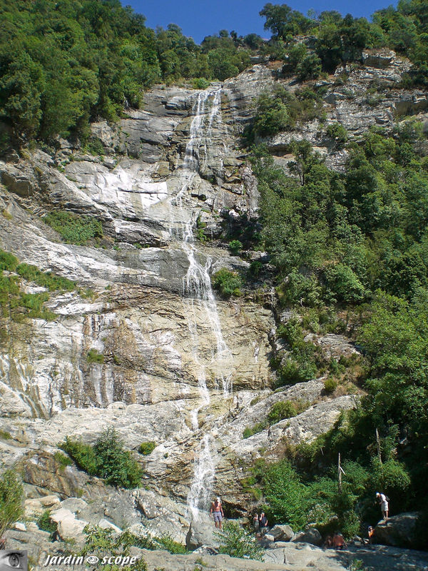 Cascade du voile de la mariée……avec un faible débit !