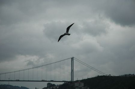 Istanbul 06 12006-01-08 130128