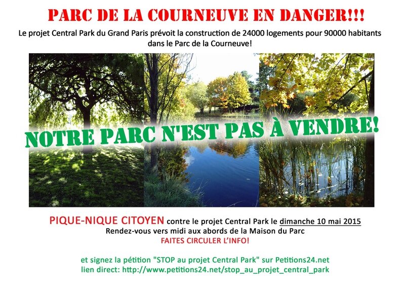 nonauprojetcentralparkw (2)