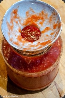 Salsa-fermented-21