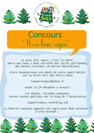 concourssapin