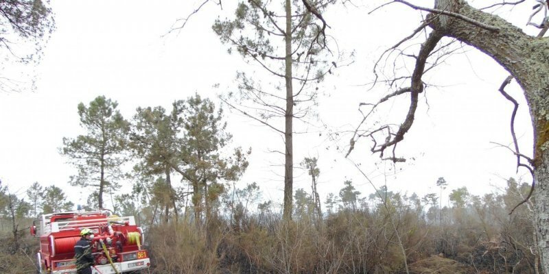 6 hectares de forêt partis en fumée