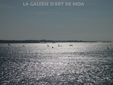 LA_GALERIE_DART_DE_MOA_80A