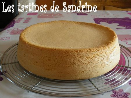 genoise 2-1