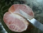 pamplemousse_5