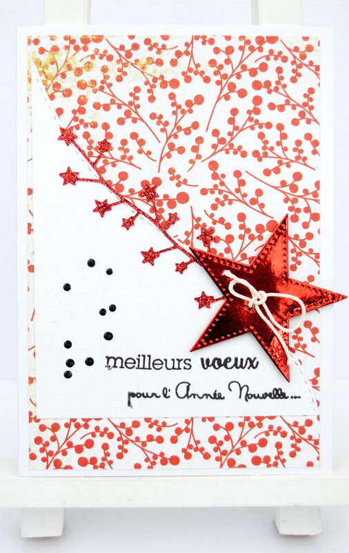 Véro 49