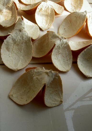 mandarinpeels