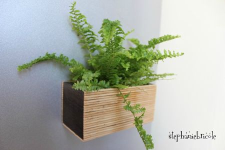 diy faire un magne vegetal soi même