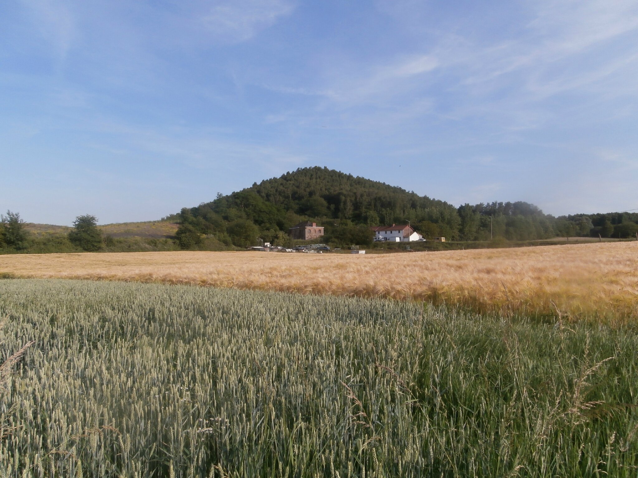 Wasmes Terril Marcasse - P6126149