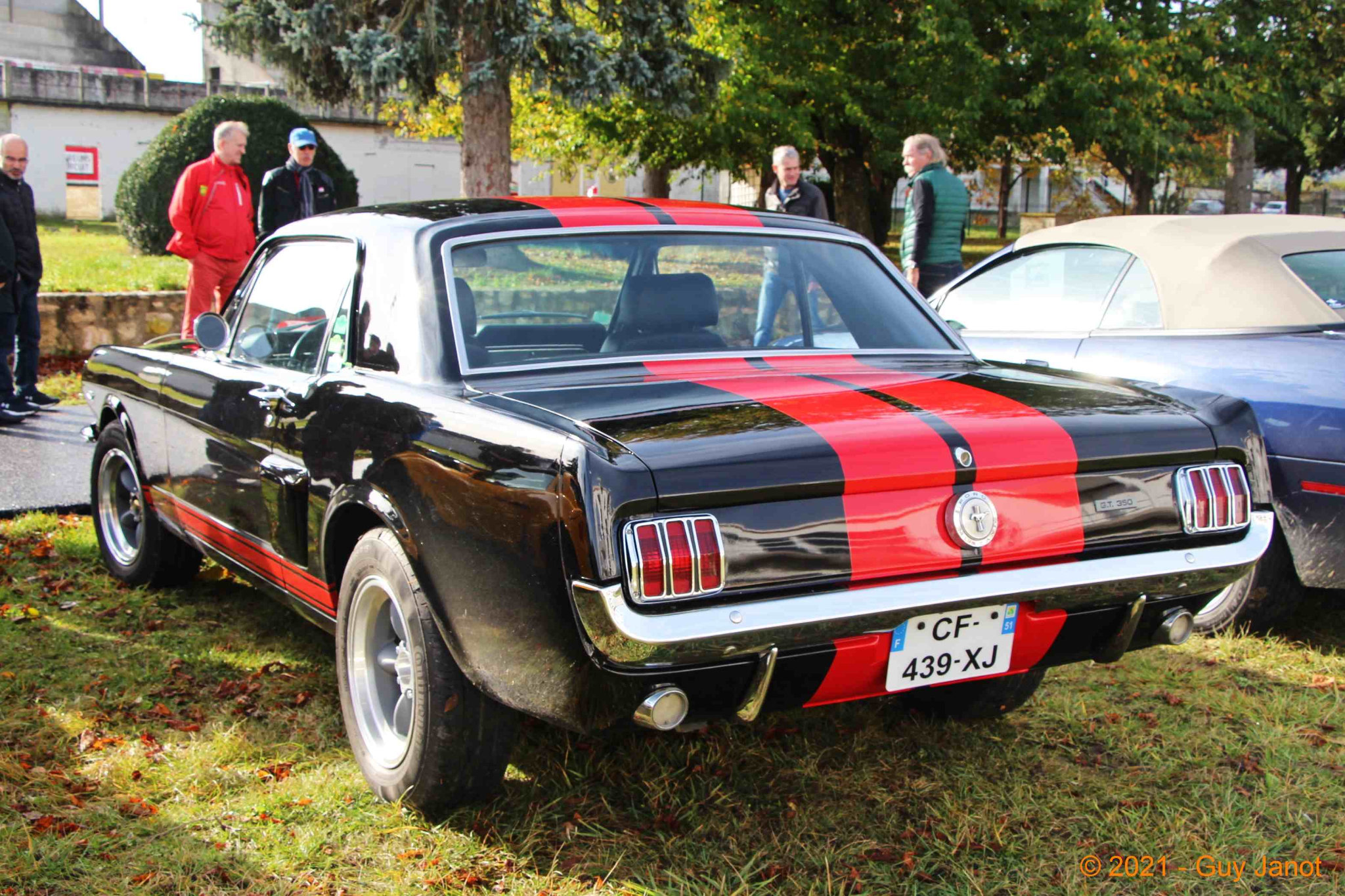 Ford Mustang I 289 GT 350_04 - 1965 [USA] GJ_GF