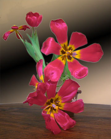 Tulipes_