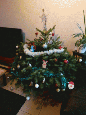 notre sapin