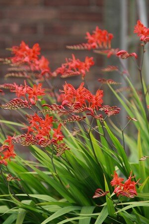 IMG_3397copie2