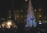 le sapin de Noël au Vatican