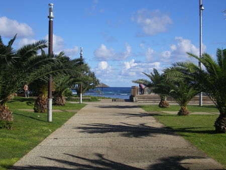 IMGP005