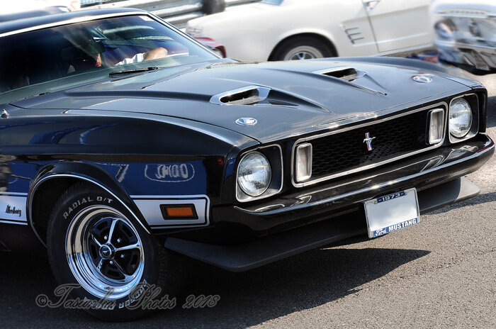 Mustangnats_Tasunkaphotos2018_11