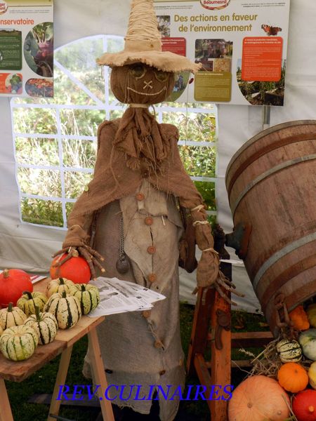 Festival des 1001 Légumes 030