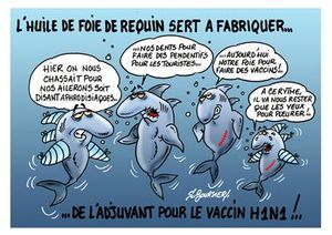 Requin H1N1