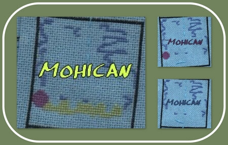 mohican_salmai21_col1