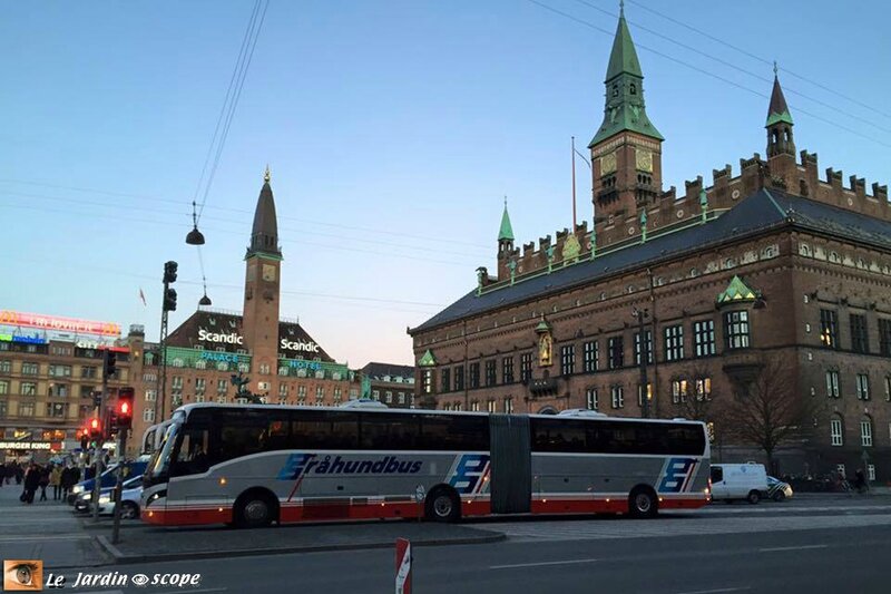 Hôtel de Ville et Scandic Palace Hôtel - Copenhague