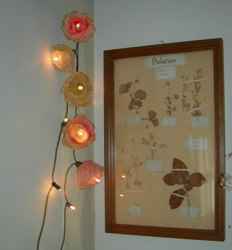 Guirlande lumineuse + roses