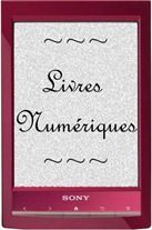 logo livre numérique