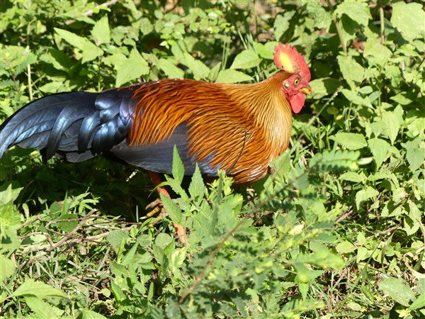 P1270610