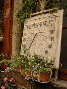 le puy