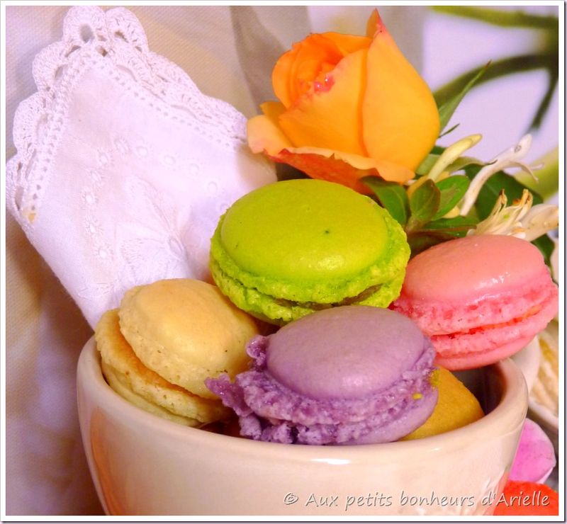 Macarons (6)