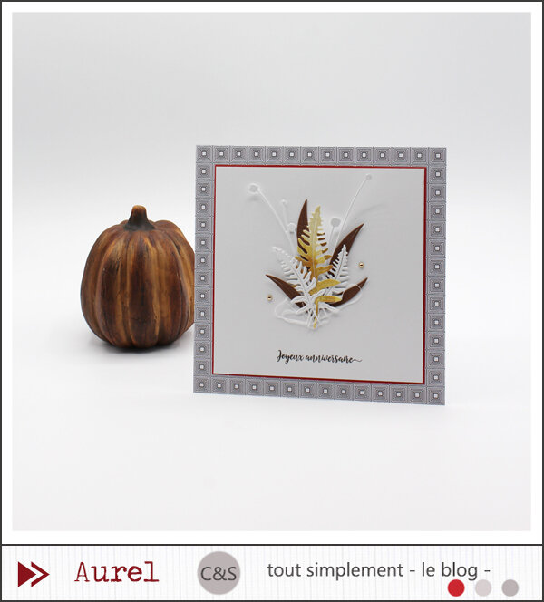081020 - Carte Joyeux anniversaire - DT C&S Consignes Célinette #1