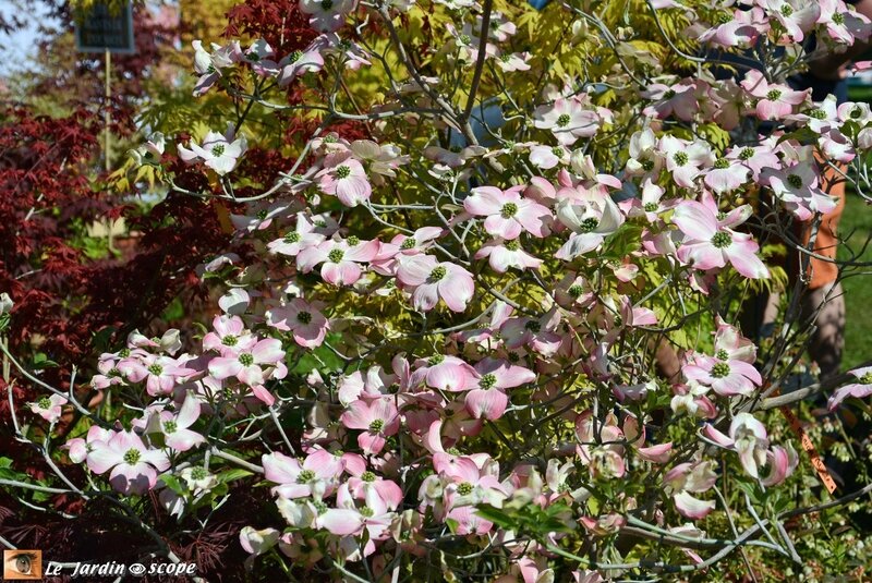 Parc-Floral-3