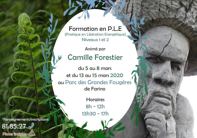 Proposition2_flyer_210mmlargX148mmhaut