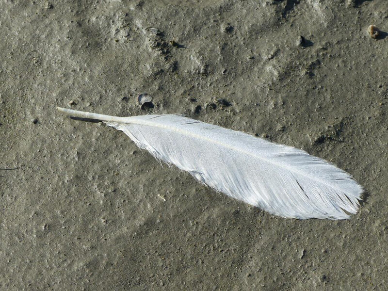 P1260405