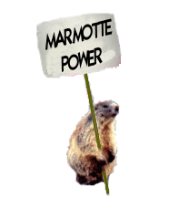 gifs1_marmotte_power