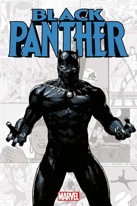 marvel-verse black panther