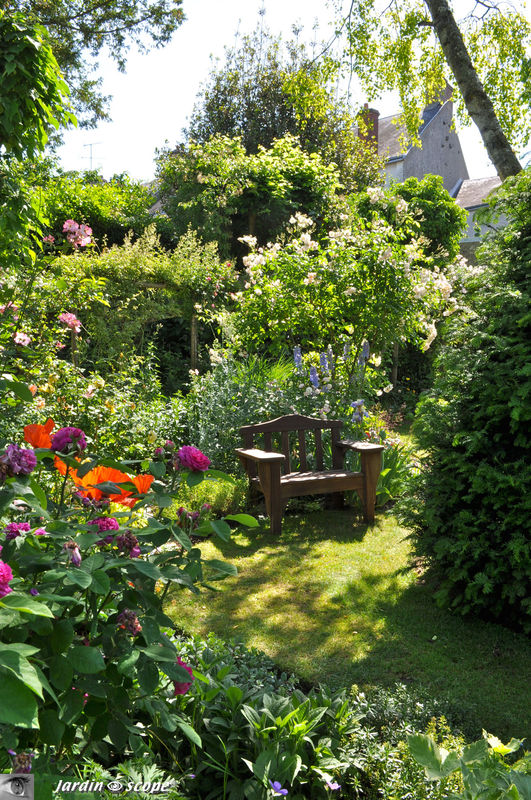Un coin tranquille pour méditer ou pour lire