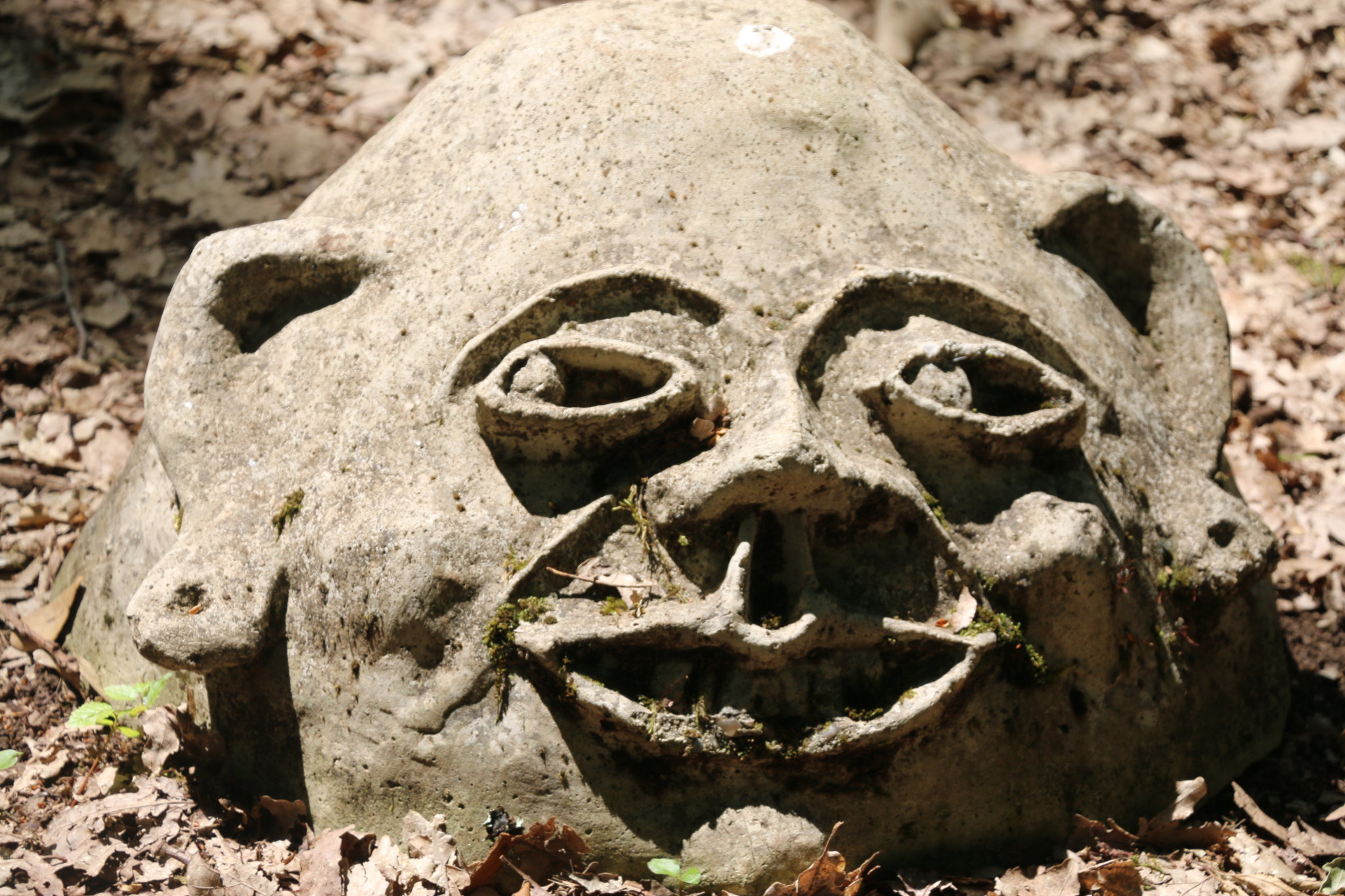 Visage posé au sol