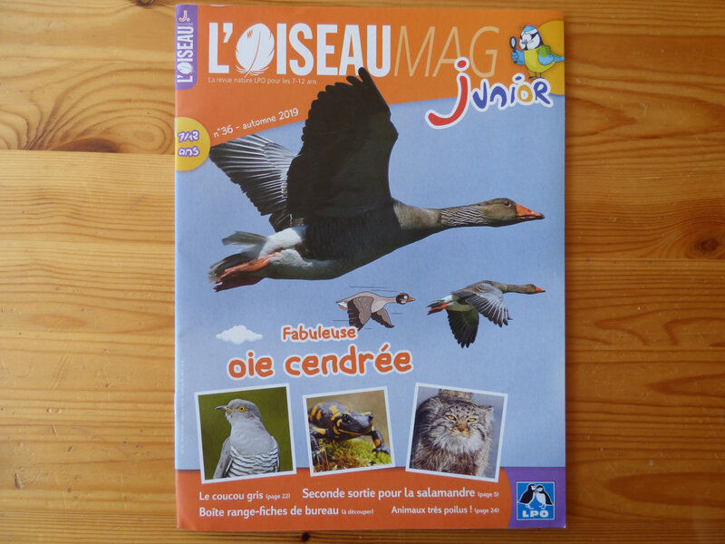 Oiseau Mag automne 19 (1)