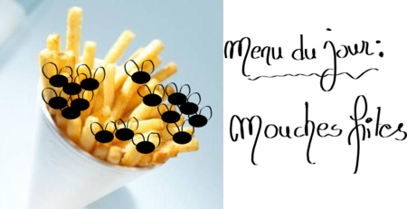 mouchefrites